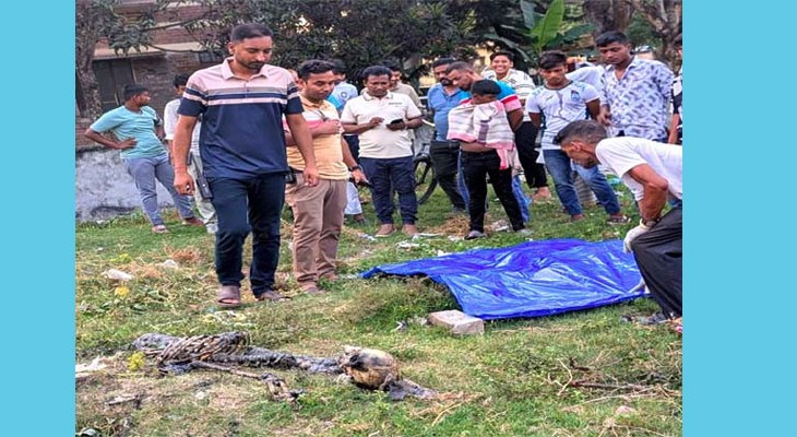 পাবনা জেনারেল হাসপাতালের ম্যানহোল থেকে মানুষের কঙ্কাল উদ্ধার