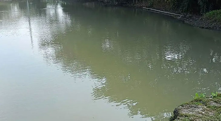 টাঙ্গাইলে পানিতে ডুবে দুই ভাইয়ের মৃত্যু