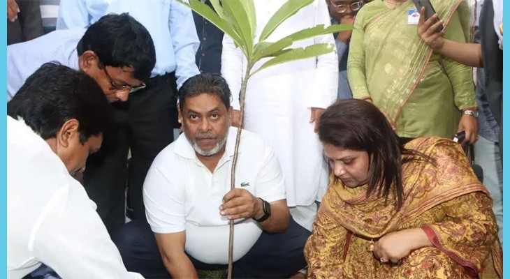 বৃক্ষরোপণকে সামাজিক আন্দোলনে রূপ দিতে হবে: ডিসি ফরিদা