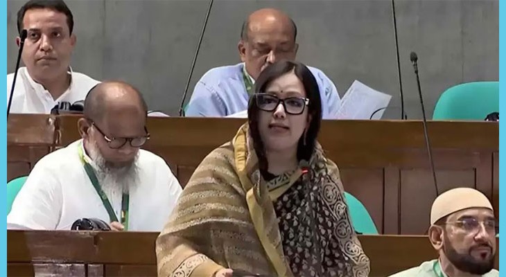 বাজেটে সামষ্টিক অর্থনৈতিক চাপ, ডিসি নিয়োগে ক্ষোভ রুমিন ফারহানার